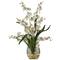 19" White Dancing Lady Orchid Arrangement in Vase